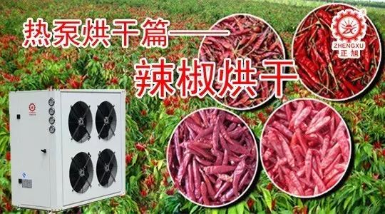 熱泵烘干辣椒