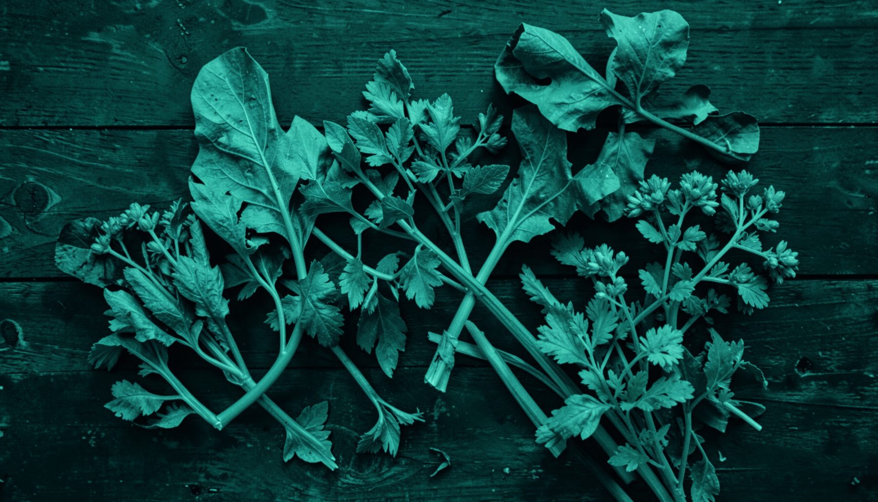 Soft duotone photograph of fresh green vegetables and herbs on a dark wooden surface, deep emerald and charcoal tones, calm and natural mood